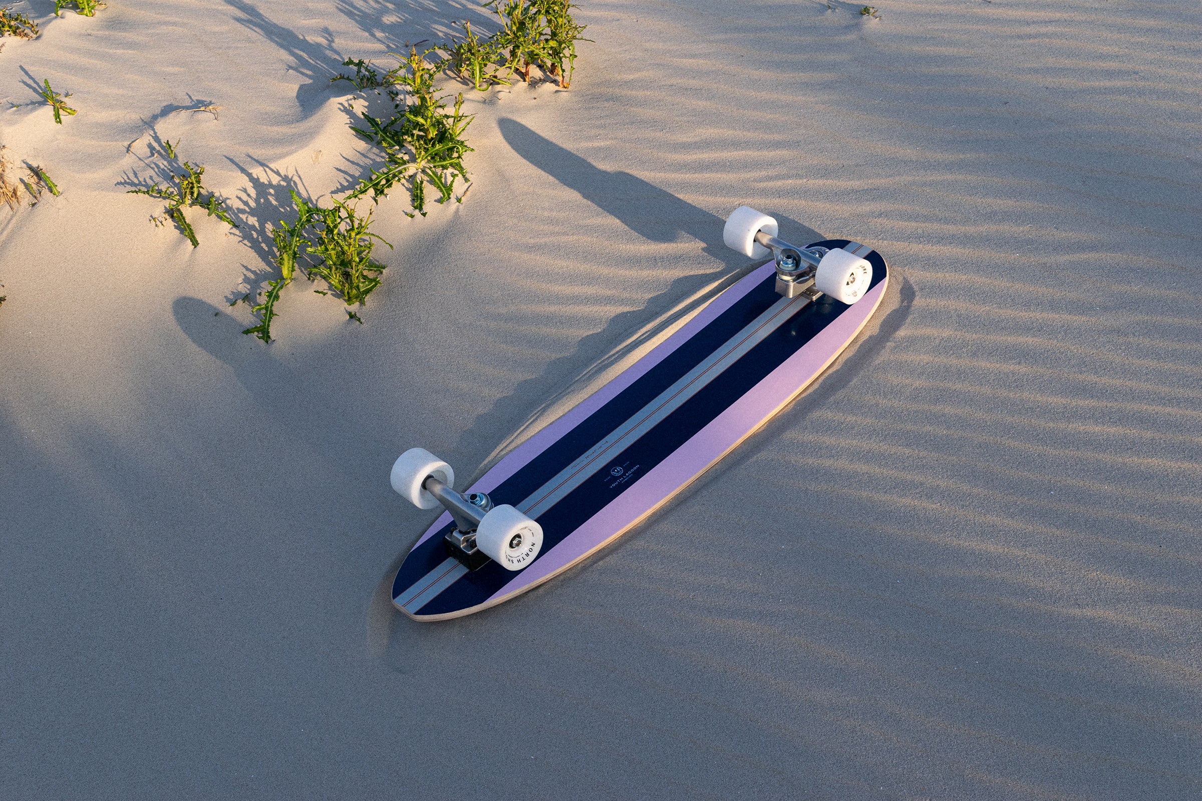 8 Best Longboards for Beach Lifestyle in 2025